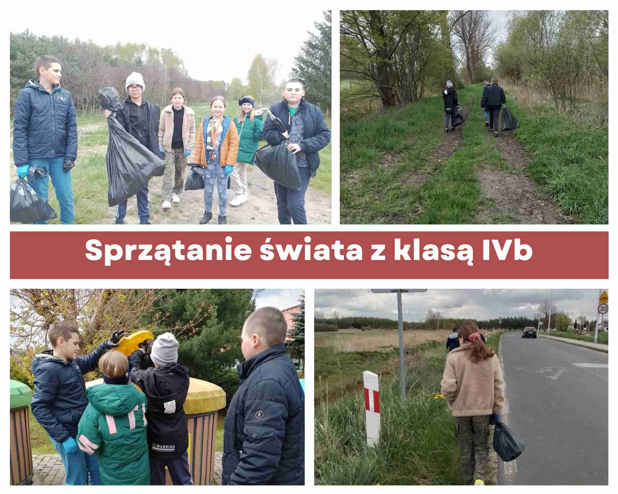 "Sprzątanie świata"