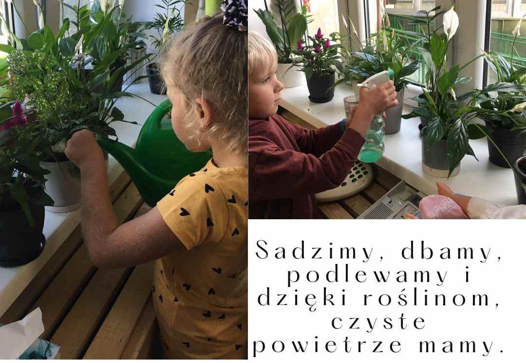przedszkolaki dbają o rośliny